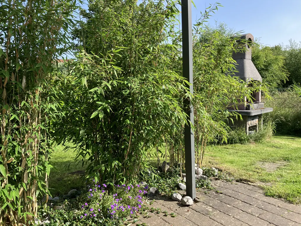 Garten mit Bambus und Grillkamin