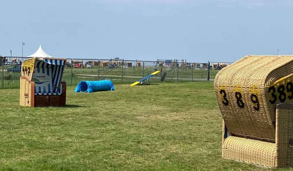 Wiese am Deich mit Strandkörben, dem grünen Strand