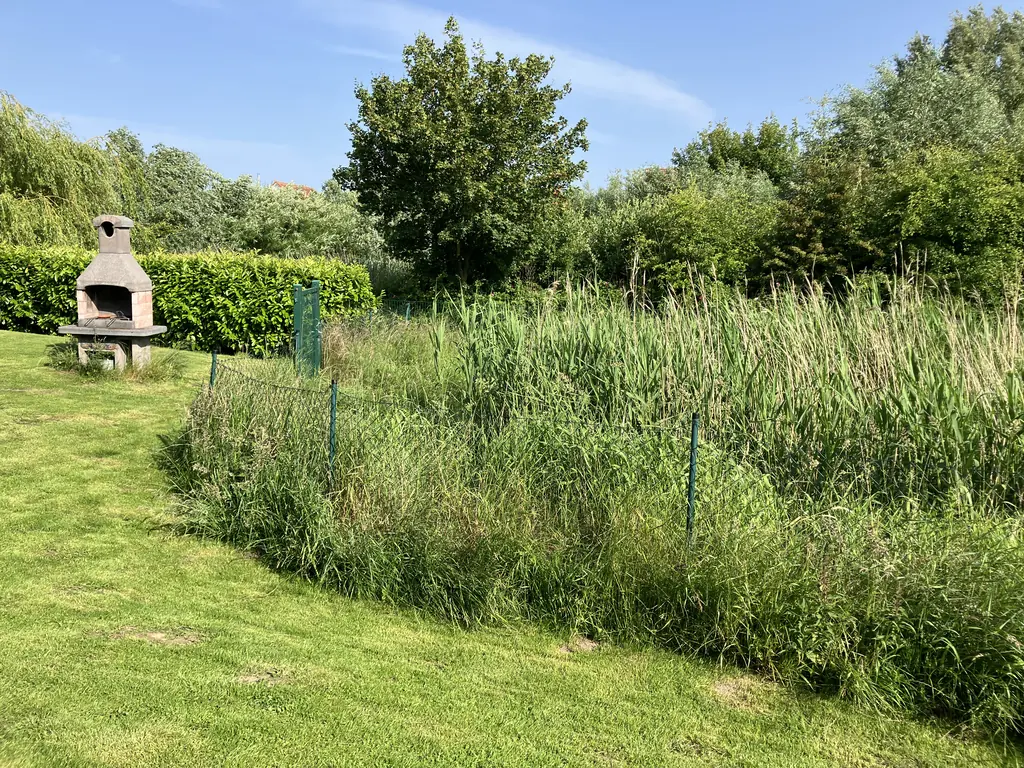 Garten mit Schilfteich und Wiese