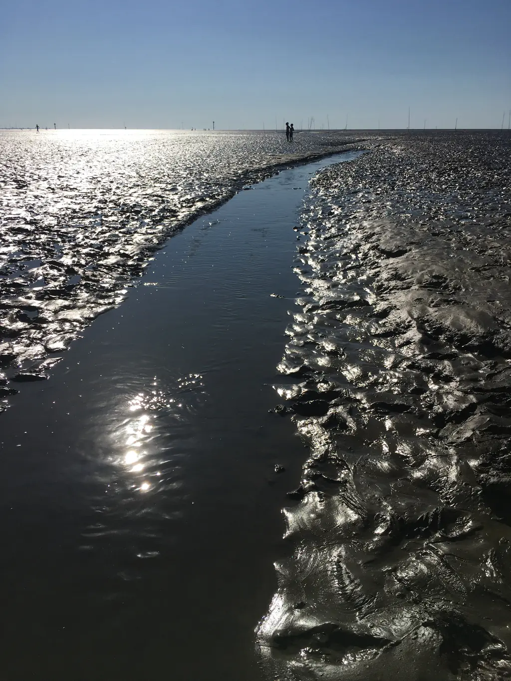 Wattwanderweg mit Spiegelungen im Sonnenlicht