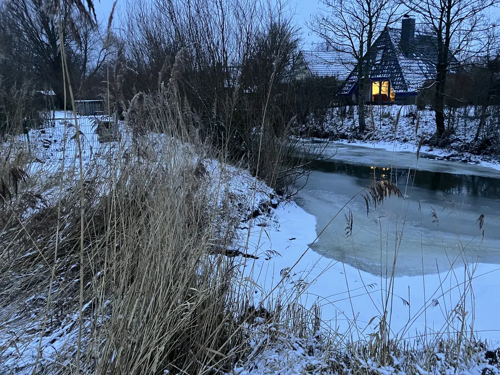Verschneiter Priel mit Reet im Winter