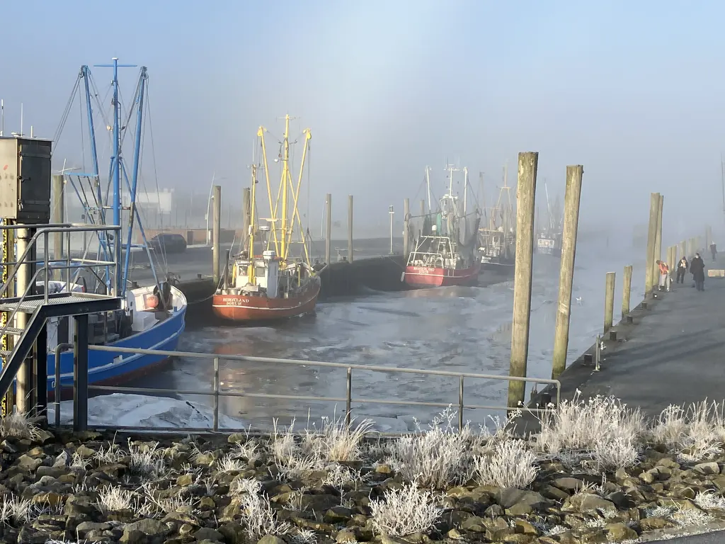 Kutterhafen mit Booten im Nebel
