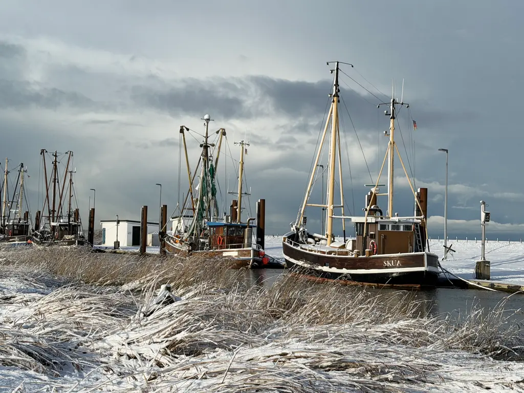 Fischkutter im winterlichen Hafen