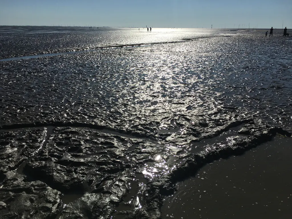 Wattboden bei Niedrigwasser mit glitzerndem Wasser
